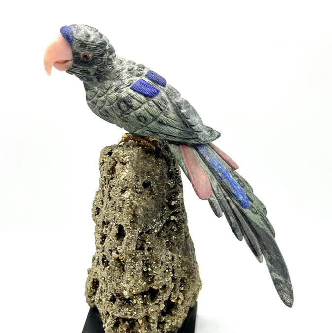 Birds