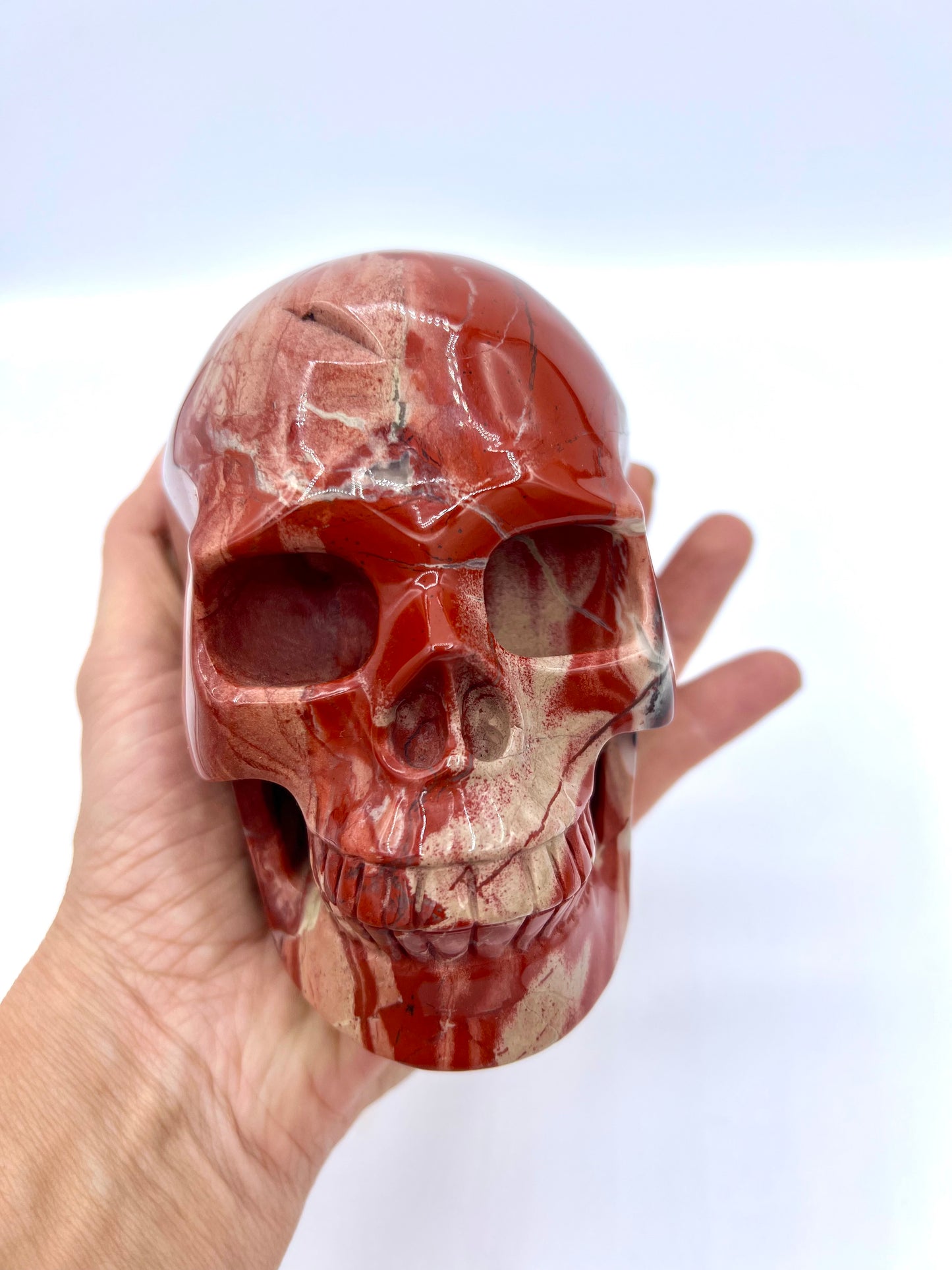 Brecciated Jasper Large Skull Healing Crystal Table top Grounding g Stone Root Chakra