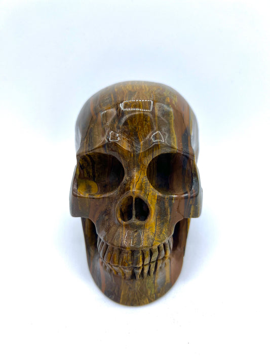 Tigers Eye Large Skull Healing crystal Head Table Top Carved Root Chakra Confidence Emotional Healing