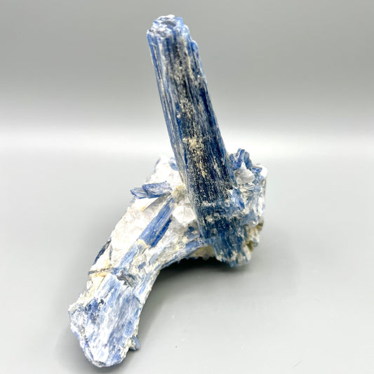 Unique and Rare BLUE KYANITE Crystal Rock Raw Natural Self Standing Tabletop medium to large size