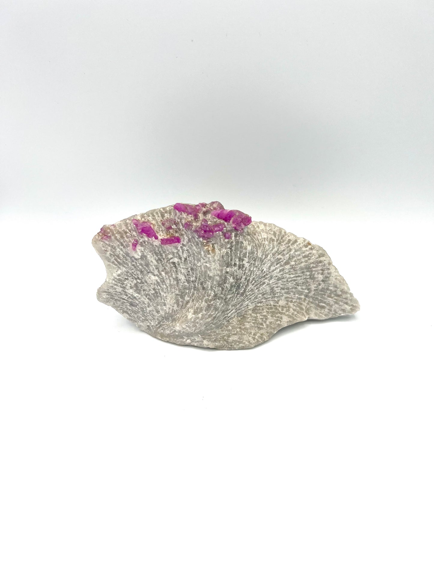 Natural Ruby on Matrix Crystal Natural Genuine Gemstones For Healing Tabletop 1.92lb - 7.5 inches