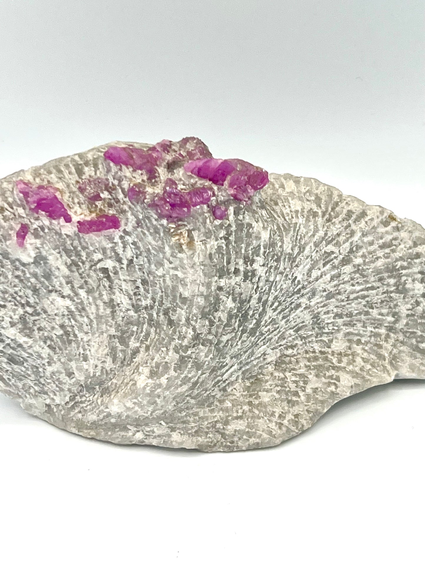 Natural Ruby on Matrix Crystal Natural Genuine Gemstones For Healing Tabletop 1.92lb - 7.5 inches