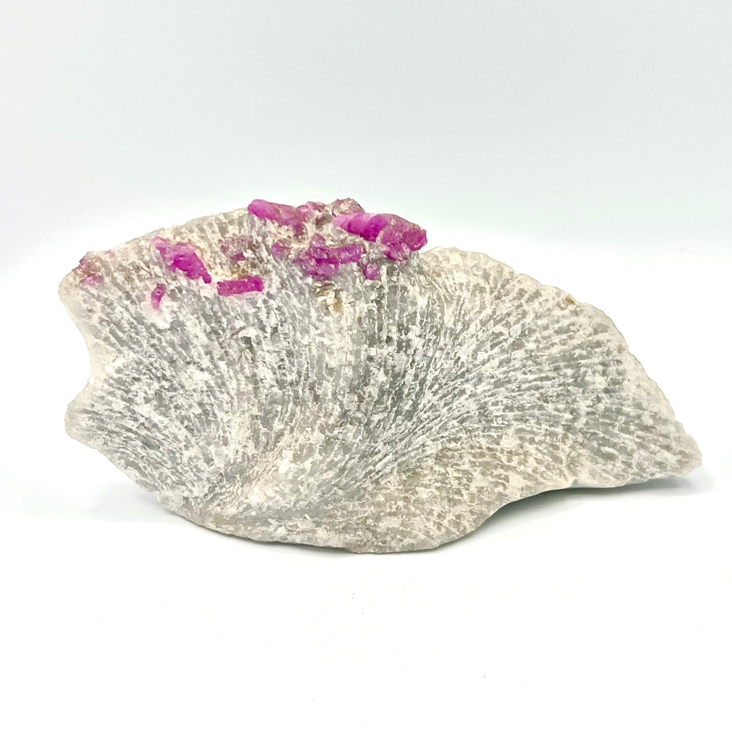 Natural Ruby on Matrix Crystal Natural Genuine Gemstones For Healing Tabletop 1.92lb - 7.5 inches