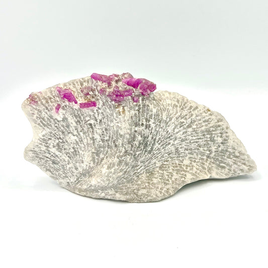 Natural Ruby on Matrix Crystal Natural Genuine Gemstones For Healing Tabletop 1.92lb - 7.5 inches