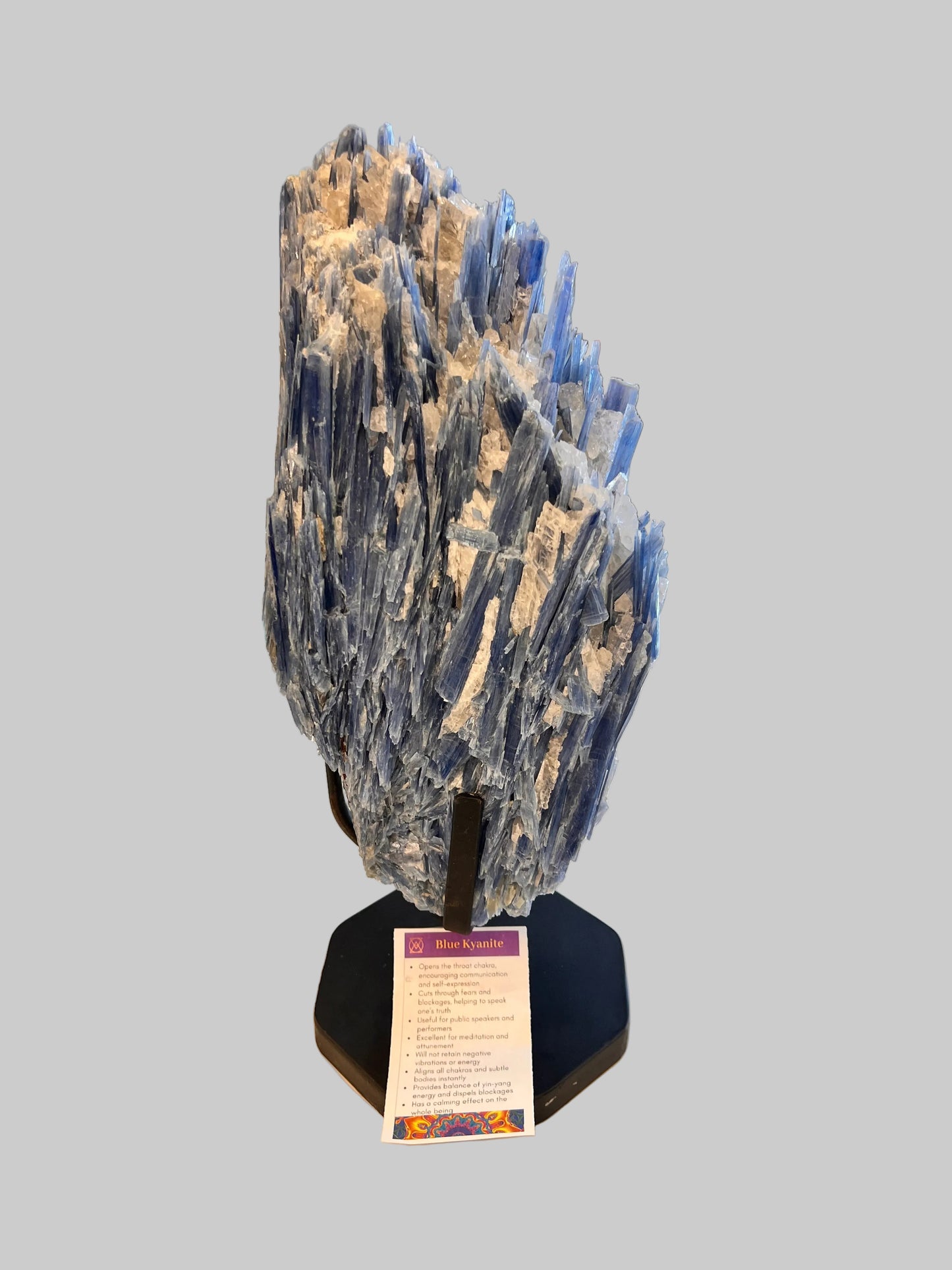 Blue Kyanite Crystal Raw Natural Rock Table top 16" tall Calming Energy Large Crystal Standing On metal