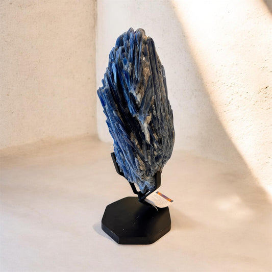 Blue Kyanite Crystal Raw Natural Rock Table top 16" tall Calming Energy Large Crystal Standing On metal
