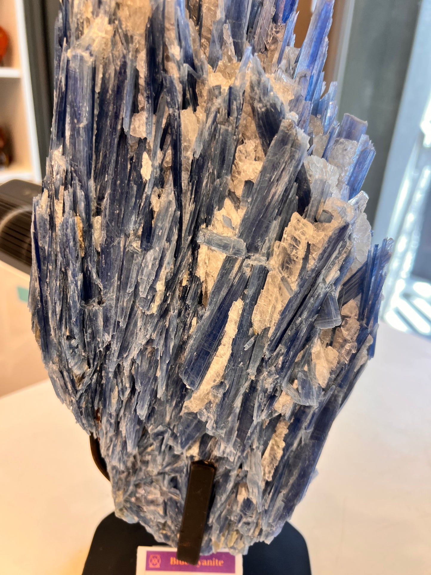 Blue Kyanite Crystal Raw Natural Rock Table top 16" tall Calming Energy Large Crystal Standing On metal