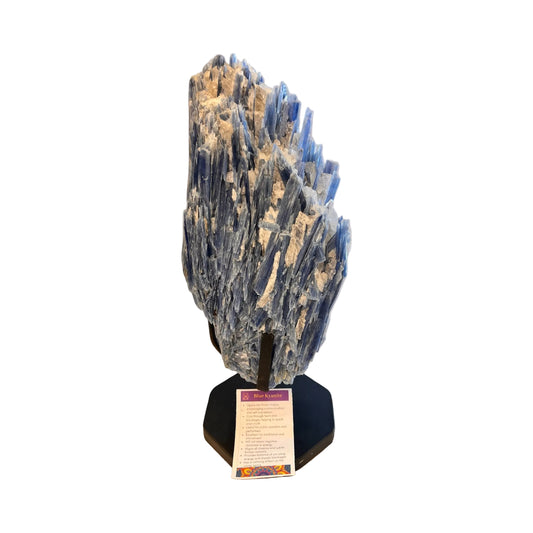 Blue Kyanite Crystal Raw Natural Rock Table top 16" tall Calming Energy Large Crystal Standing On metal