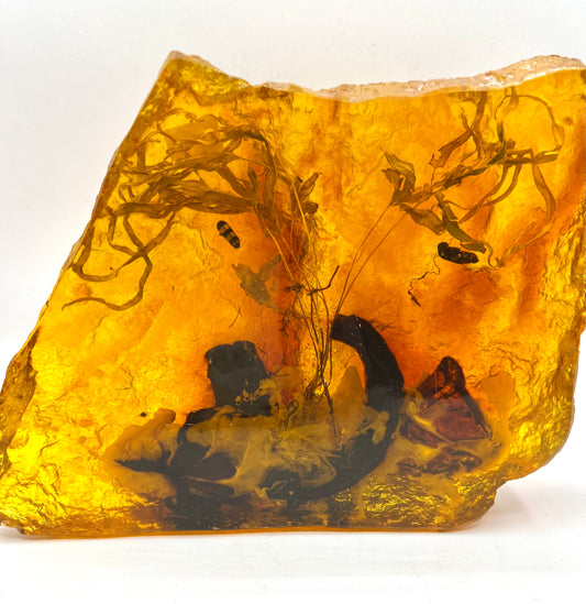 X Large Amber Table Top For Healing Crystal