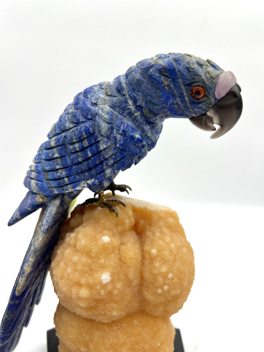 Hand-Carved Lapis Lazuli Parrot on Orange Calcite Crystal Base – Intuition, Clarity & Positive Energy Decor