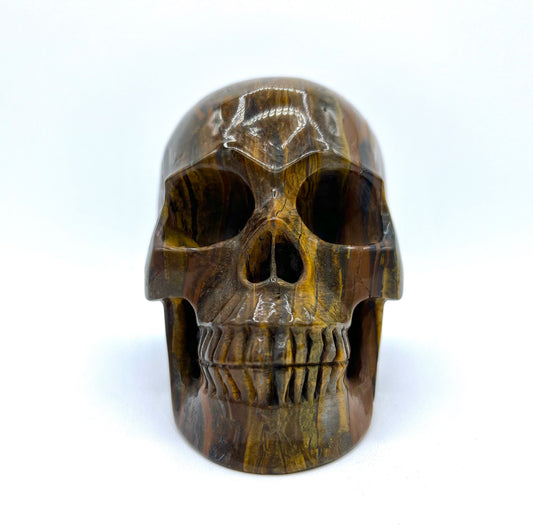 Tigers Eye Large Skull Healing crystal Head Table Top Carved Root Chakra Confidence Emotional Healing