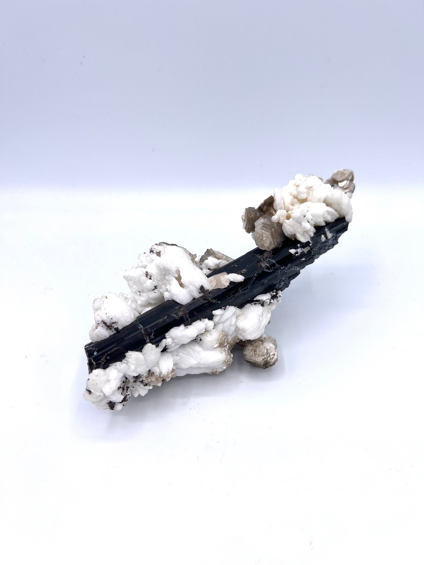 VERY RARE Black Tourmaline with Mica Muscovite Raw Crystal Rock Healing Beautiful One Of A Kind