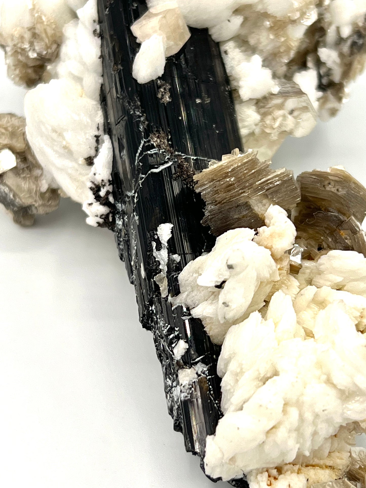 VERY RARE Black Tourmaline with Mica Muscovite Raw Crystal Rock Healing Beautiful One Of A Kind