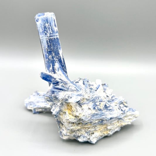 Unique and Rare BLUE KYANITE Crystal Rock Raw Natural Self Standing Tabletop medium to large size